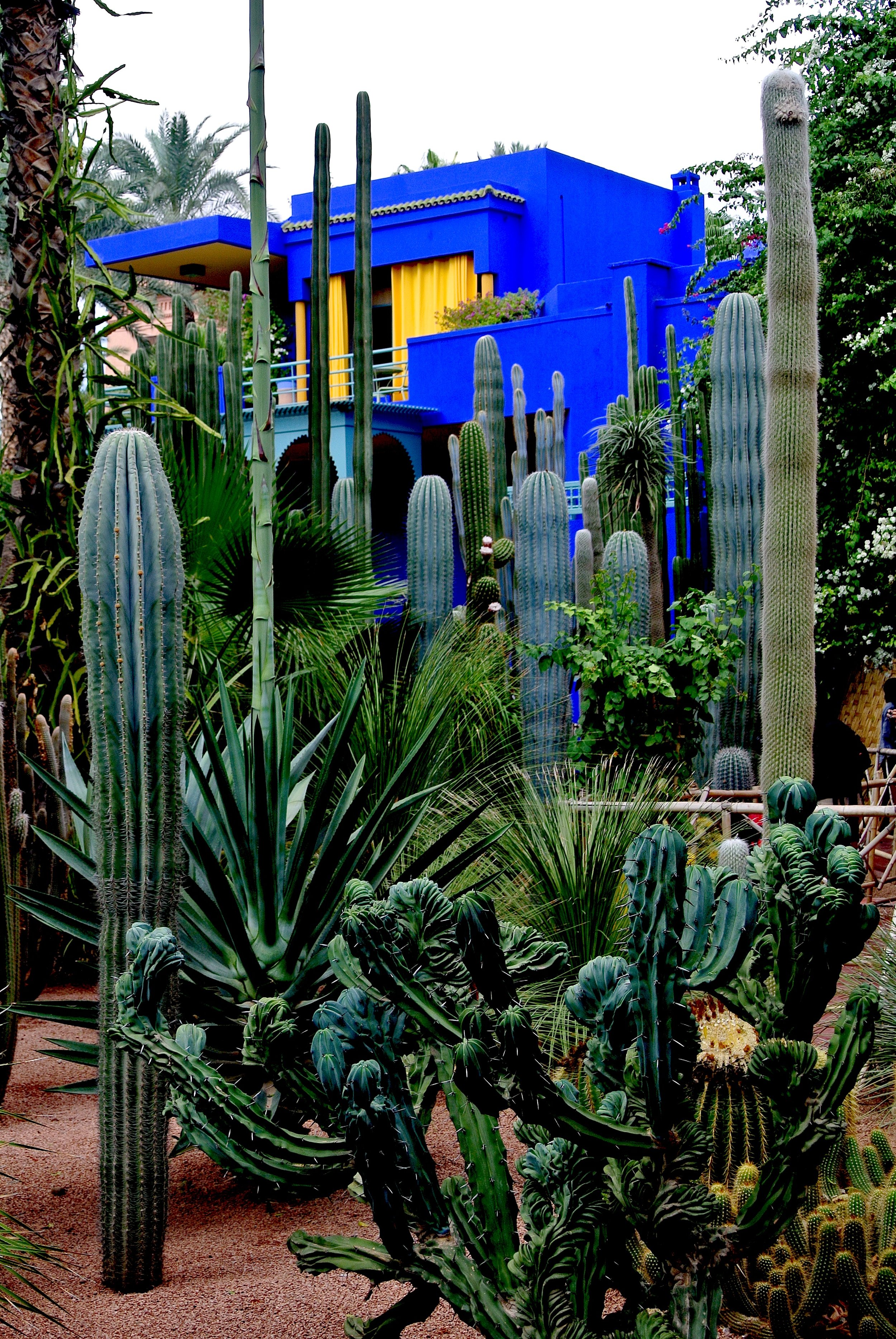 MARRAKECH RENTAL